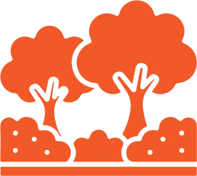 Screen Repair & Replacement